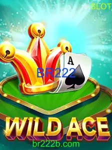 WildAce - BR222